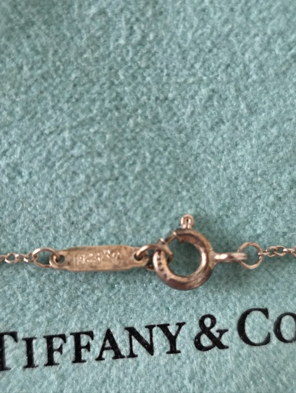 Authentic Tiffany & Co. 925 Sterling Silver Interlocking Circles Necklace